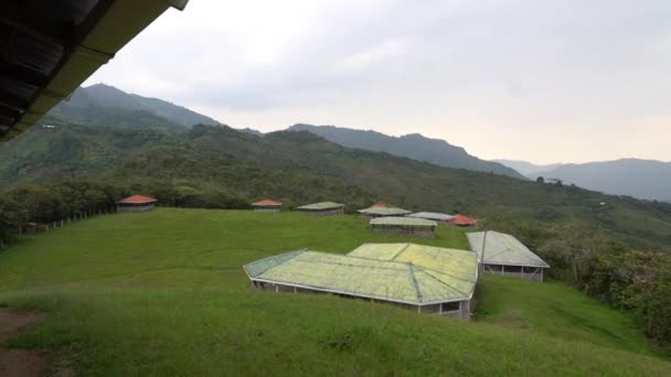 Cauca Colombia 2019 Parque Arqueológico Nacional Tierradentro Con Sus Tumbas — Vídeos de Stock