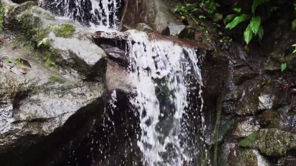 Esőerdő Pailon Del Diablo Látványos Vízesésénél Banos Santa Agua Közelében — Stock videók