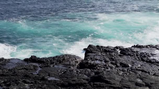 Sea Water Pacific Ocean Being Pressed Blow Hole Emitting Salt — Stock Video