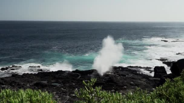太平洋の海水が吹き抜け穴を通って押され ガラパゴス諸島の溶岩岩のビーチで塩水スプレーを放出する — ストック動画