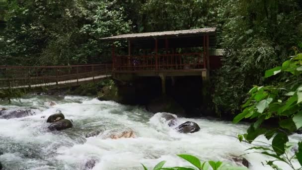 エクアドルのミンド近くの雲林のジャングルの緑と緑の熱帯雨林で タラビタ ミンドの滝でホワイトウォーターラピッド — ストック動画