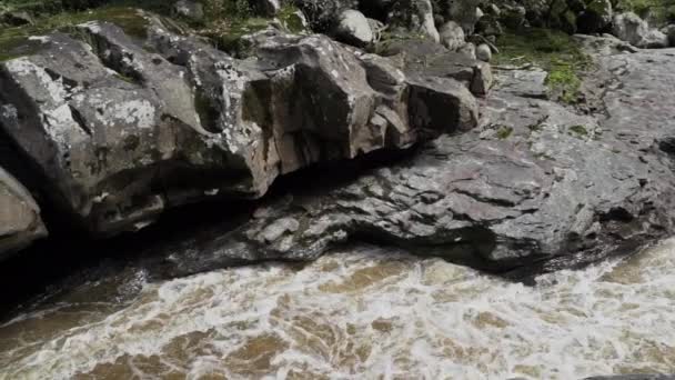 Річка Магдалена Протікає Через Вузький Габ Естречо Магдалена Викликаючи Пориви — стокове відео