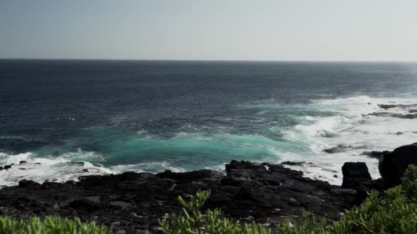 갈라파고스 해변에서 구멍을 스프레이를 방출하는 태평양의 — 비디오