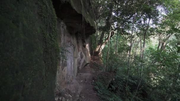 Cascada Motilona Bellissime Cascate Tropicali Nella Profonda Foresta Pluviale Della — Video Stock