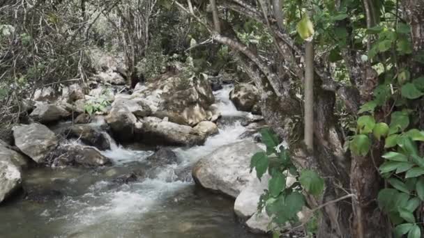 穿过安第斯山脉山口的一条生机勃勃的小河 通往历史考古遗址的Revash墓 — 图库视频影像