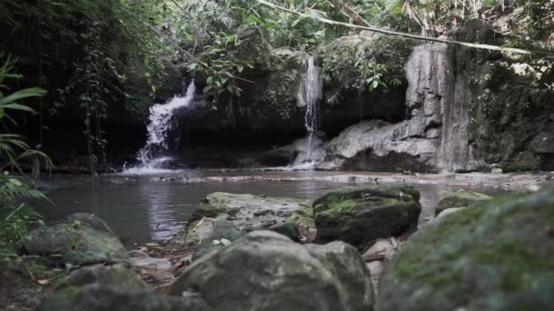 哥伦比亚帕科勒市附近丛林深处的热带雨林中美丽的热带瀑布 汇入沿河岸边的绿松石池中 — 图库视频影像