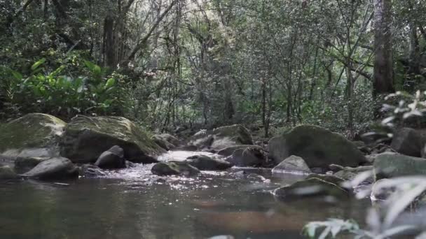 Kaskáda Motilona Krásné Tropické Vodopády Hlubokém Deštném Pralese Džungle Blízkosti — Stock video