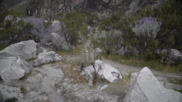 코카서스 라구나 페루의 안데스 산맥에서 Cordillera 블랑카의 풍경을 하이킹 — 비디오