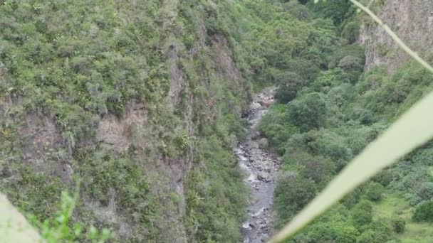 Profundo Valle Con Selva Tropical Reserva Oso Andino Lugar Donde — Vídeo de stock