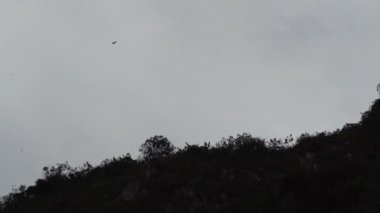 Revash, Peru - 06 02 2019: Yerli kabileler tarafından And Dağları 'nın sarp kireçli duvarlarına oyulmuş Revash mezarlarının tarihi arkeolojik yeri.