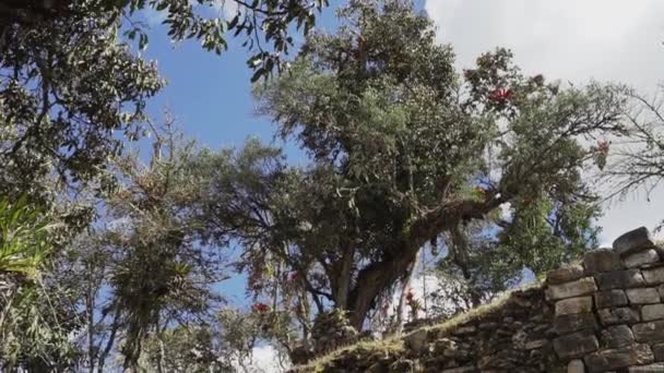 Kuelap Peru 2019 Sítio Arqueológico Histórico Antiga Cidade Perdida Kuelap — Vídeo de Stock