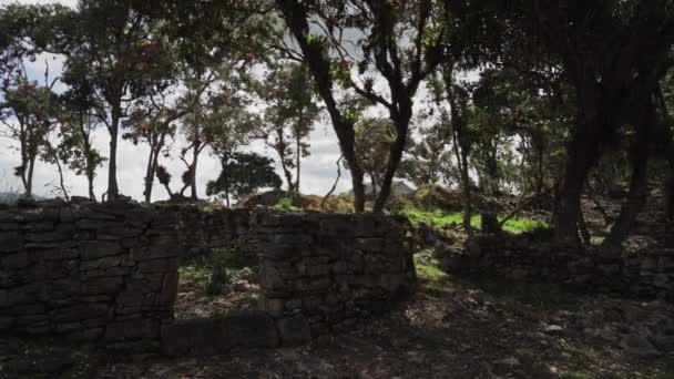 Kuelap Perú 2019 Sitio Arqueológico Histórico Antigua Ciudad Perdida Kuelap — Vídeo de stock