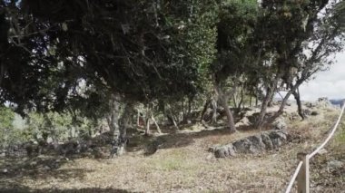 Kuelap, Peru - 06 01 2019: Eski kayıp şehir Kuelap 'ın tarihi arkeolojik alanı, Perus And Dağları' nın yüksek rakımlarında antik ve yerli İnka 'nın bir yerleşimi.