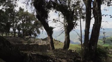 Kuelap, Peru - 06 01 2019: Eski kayıp şehir Kuelap 'ın tarihi arkeolojik alanı, Perus And Dağları' nın yüksek rakımlarında antik ve yerli İnka 'nın bir yerleşimi.