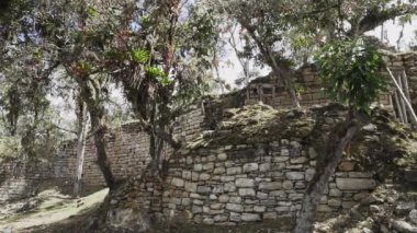 Kuelap, Peru - 06 01 2019: Eski kayıp şehir Kuelap 'ın tarihi arkeolojik alanı, Perus And Dağları' nın yüksek rakımlarında antik ve yerli İnka 'nın bir yerleşimi.