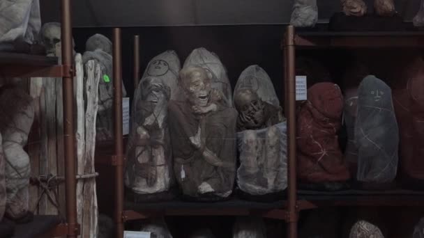 Leymebamba Perù 2019 Mummie Antiche Ben Conservate Museo Leymebamba Nelle — Video Stock