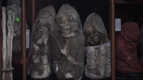 Leymebamba Peru 2019 Staré Dobře Zachované Mumie Muzeu Leymebamba Horách — Stock video
