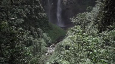 Gocta Kataraktı (Catarata del Gocta), Amazon 'un Bongara eyaletinde yer alan ve dünyanın en yüksek üçüncü su akıntısı olan Perus Şelalesi.