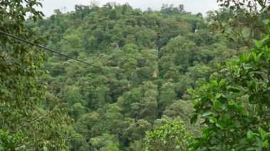 Sarı teleferik insanları vadiden ve Tarabita Mindo 'nun şelalelerinden geçiriyor. Bir las Cascadas, ormandaki yemyeşil ve yemyeşil yağmur ormanlarında. Mindo yakınlarındaki bulut ormanında..