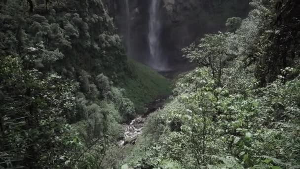 Gocta Cataracts Catarata Del Gocta Perennial Waterfalls Two Drops Located — Stock Video