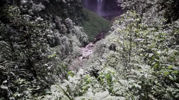 Gocta Kataraktı Catarata Del Gocta Amazon Bongara Eyaletinde Yer Alan — Stok video