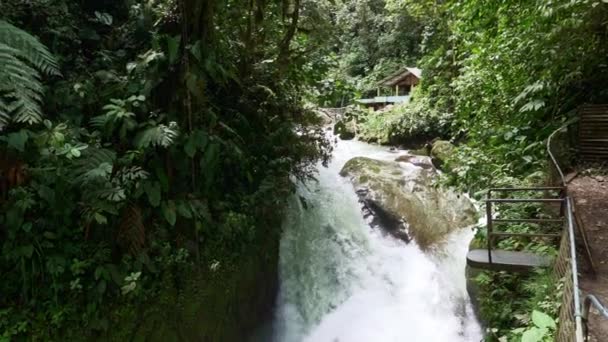 Wildwasser Stromschnellen Den Wasserfällen Von Tarabita Mindo Las Cascadas Üppigen — Stockvideo
