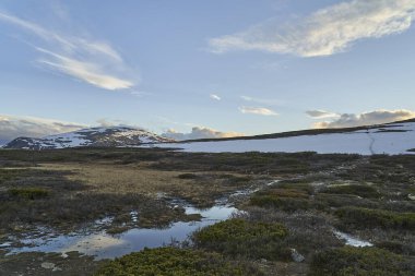 Norveç 'in orta kesimindeki Dovrefjell Ulusal Parkı' ndaki soğuk ve sert tundranın manzarasında bir kar tarlasında yürüyüş yolu.