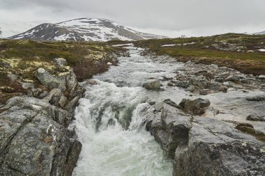 Norveç 'in orta kesimindeki Dovrefjell Ulusal Parkı' ndaki soğuk sert tundranın manzarasında stropla nehri boyunca çağlayan şelale.