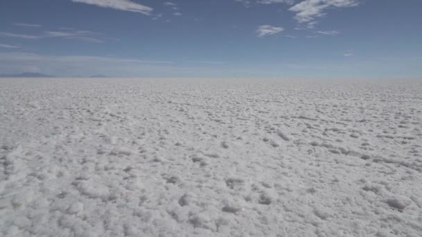 在玻利维亚安第斯山脉的阿尔蒂普拉诺高原上 位于世界上最大的盐滩上的鱼岛上的Salar Uyuni盐湖周围 — 图库视频影像
