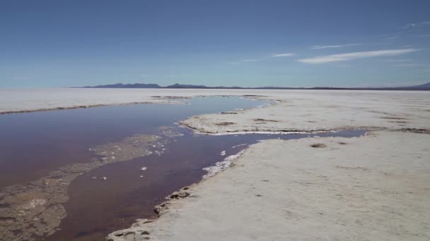 Salar Uyuni Tuz Gölü Adanın Etrafında Balık Adası Dünyanın Büyük — Stok video