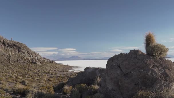 Geländewagen Die Auf Dem Salar Uyuni Salzsee Stehen Der Größten — Stockvideo