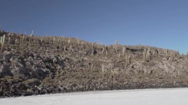 Salar de Uyuni tuz gölü, adanın etrafında, balık adası, dünyanın en büyük tuz dairesi, And Dağları 'ndaki Altiplano' nun yüksek irtifasında, Bolivya 'da..