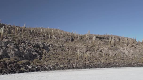 在玻利维亚安第斯山脉的阿尔蒂普拉诺高原上 位于世界上最大的盐滩上的鱼岛上的Salar Uyuni盐湖周围 — 图库视频影像