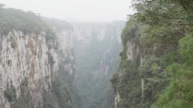 Rio Grande do Sul 'un Serra Geral Sıradağları' ndaki Aparados da Serra Milli Parkı 'ndaki Itaimbezinho kanyonu ve kıyı ormanları, çayırlar ve Araucaria nemli ormanları arasındaki Santa Catarina..