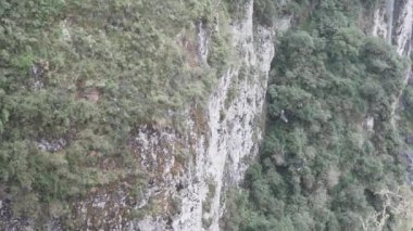 Rio Grande do Sul 'un Serra Geral Sıradağları' ndaki Aparados da Serra Milli Parkı 'ndaki Itaimbezinho kanyonu ve kıyı ormanları, çayırlar ve Araucaria nemli ormanları arasındaki Santa Catarina..