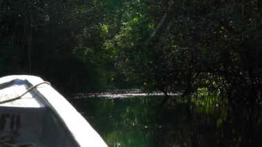 Cuyabeno vahşi yaşam beldesinin tropcial nehrinden geçerek Ekvador 'daki Amazon bölgesinin yağmur ormanlarından geçen deniz kenarından deniz manzarası..