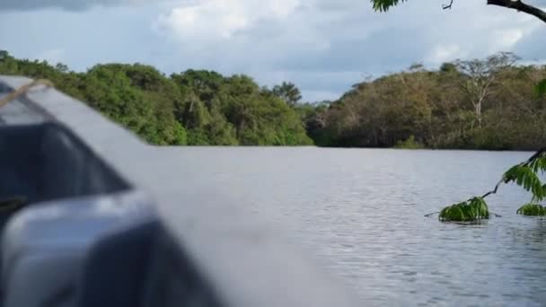 Vista Sull Acqua Lato Motoscafo Scendendo Lungo Fiume Tropicale Nella — Video Stock