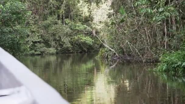 Вид Воду Стороны Моторной Лодки Спускающейся Вниз Тропической Реке Джунглях — стоковое видео