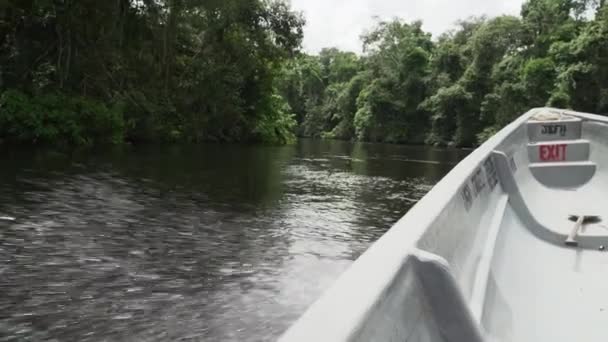 在厄瓜多尔亚马逊河流域的热带雨林中 从汽艇边沿着热带雨林的水域俯瞰着这片水域 — 图库视频影像