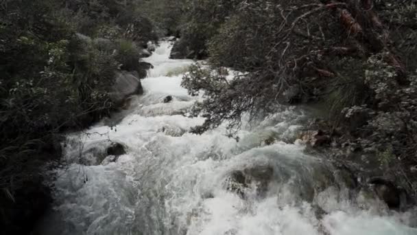 Livlig Flod Väg Till Lagunaparonen Den Höga Höjden Cordillera Blanca — Stockvideo