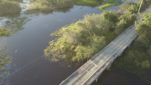 Vista Aérea Drones Transpantaneira Pantanal Tropical Wetland Maior Área Pantanosa — Vídeo de Stock