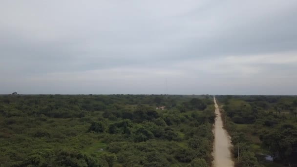 Vue Aérienne Par Drone Transpantaneira Dans Zone Humide Tropicale Pantanal — Video