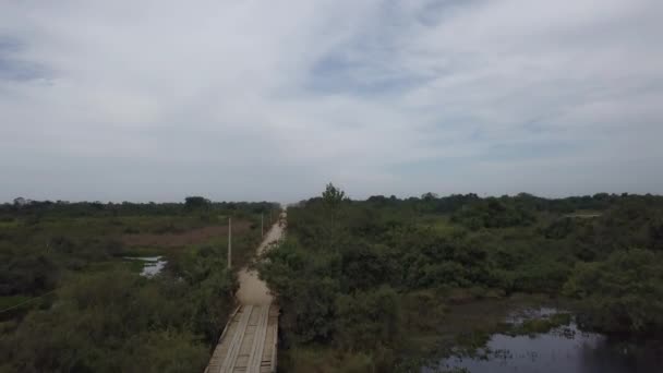 Dünyanın Büyük Bataklık Bölgesi Olan Tropikal Bataklık Pantanal Daki Transpantaneira — Stok video