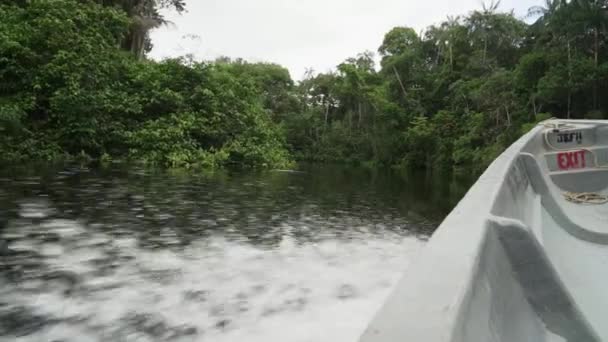 Pohled Vodu Boku Motorový Člun Jít Dolů Tropické Řece Džungli — Stock video