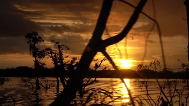Захід Сонця Лагуні Гранде Національного Парку Куябено Тропічних Тропічних Лісах — стокове відео