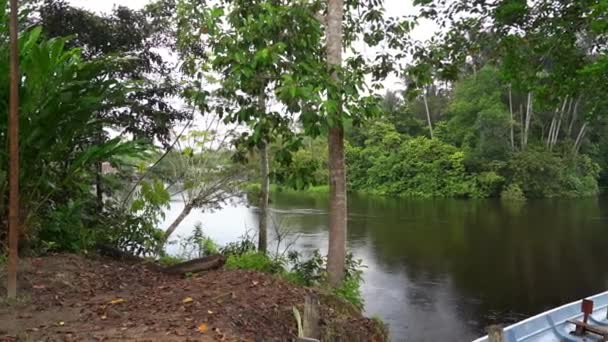 Small Motor Boat Lying Shore River Bank Indigenous Village Cuyabeno — Stock Video