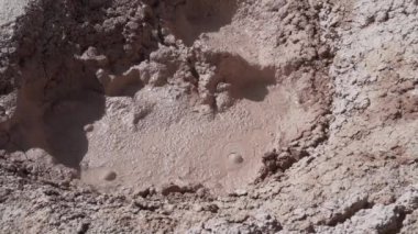 Bolivya 'daki Altiplano Andean Platosu' ndaki Sol de Manana gayzerlerinde fümerollü ve çamur çukurlu volkanik aktivite.