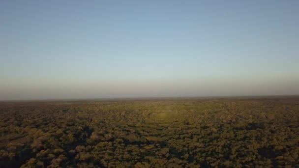 巴西Mato Grosso Sul热带湿地Pantanal的Transpantaneira是世界上最大的沼泽地 受到非法森林大火砍伐森林的威胁 — 图库视频影像