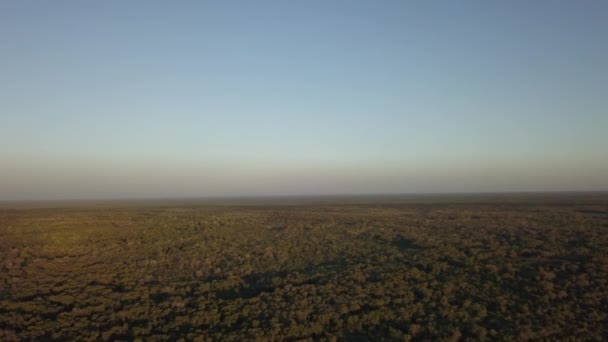 Zicht Vanuit Lucht Transpantaneira Het Tropisch Wetland Pantanal Het Grootste — Stockvideo