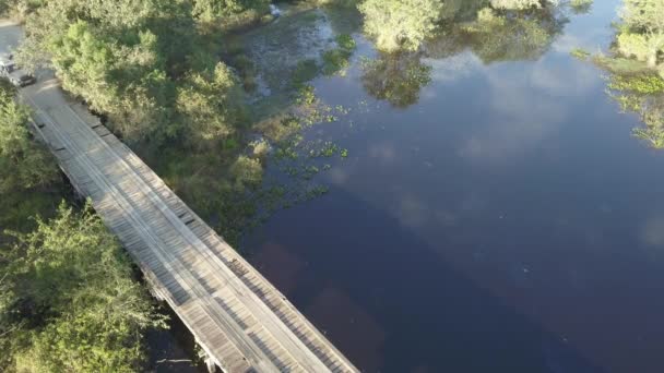 Veduta Aerea Drone Della Transpantaneira Nella Palude Tropicale Pantanal Più — Video Stock
